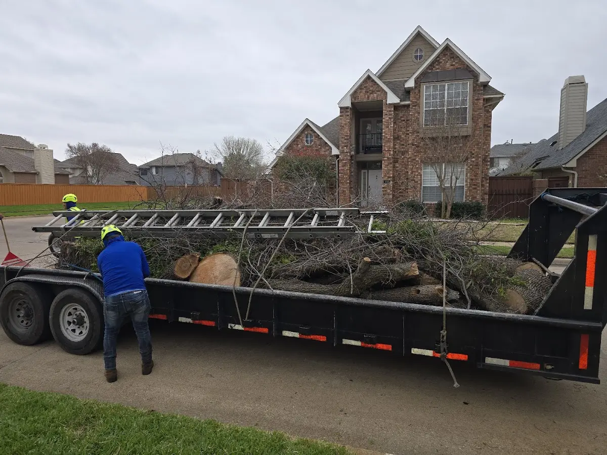 Expert Tree Fertilization with proper safety equipment in Range
